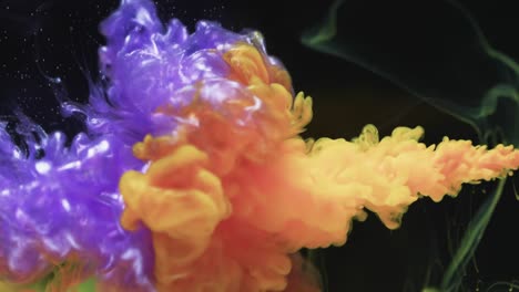 slow motion video of yellow and purple watercolor ink mixing in water against black background