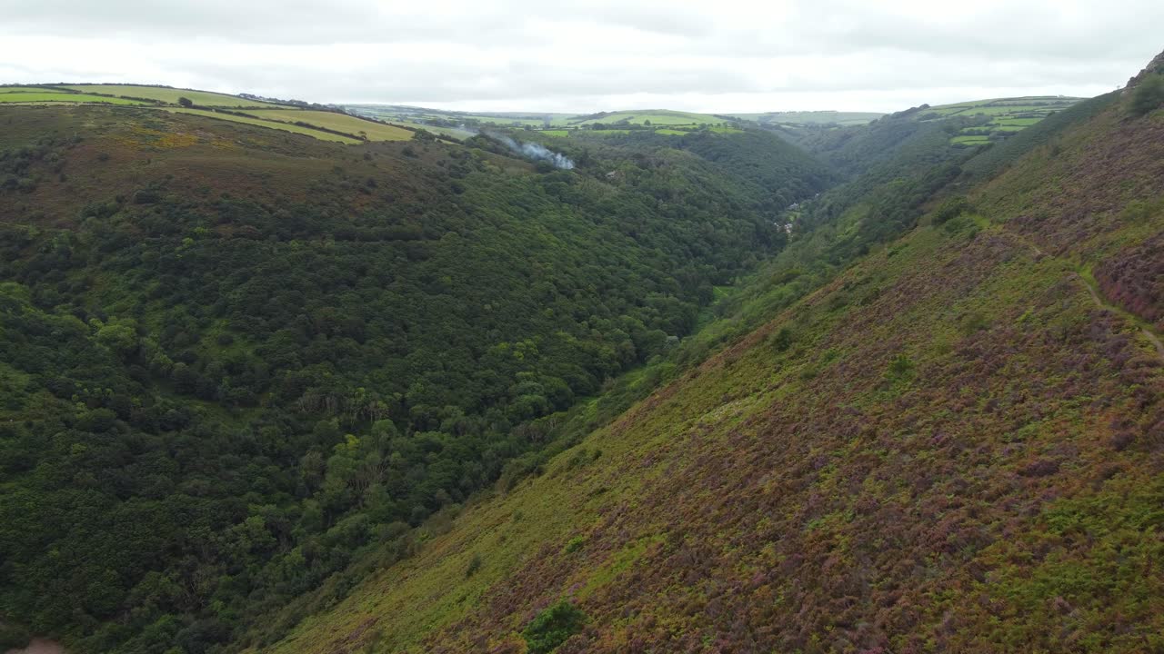 깊은 나무로  ⁇ 인 계곡 에서 발생 한 산불 - 공중 사진