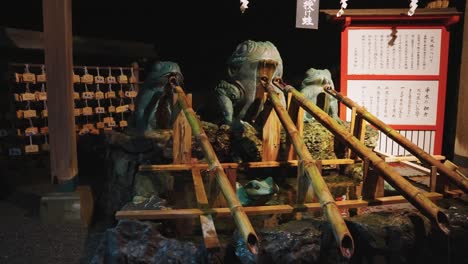 밤에 푸타미 사원, 개구리 분수 위의 느린 동작