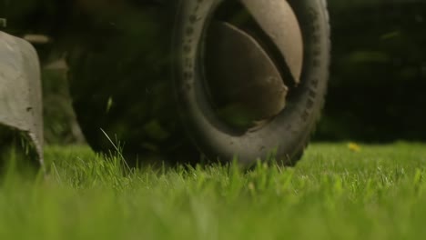 die räder des rasenmähers schneiden gras