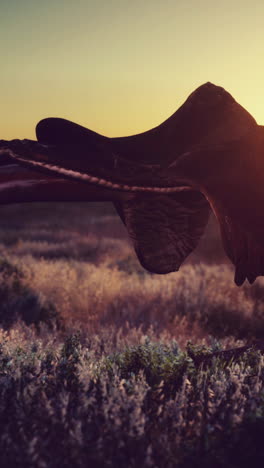 sunset silhouette of a saddle in a field