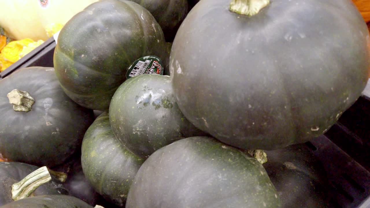 Market shot of Cucurbita moschata, the commonly sold butternut squash