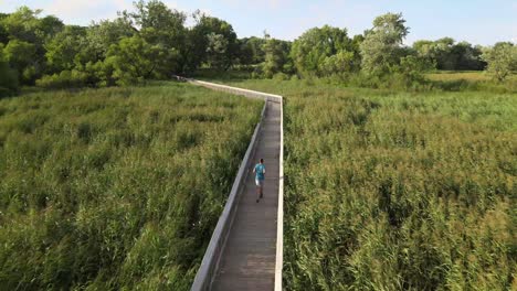 drone following a young healthy man,running on the wooden path amidst lush greenery at old cedar avenue, bloomington minnesota