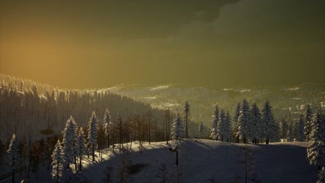 Nebel-Und-Schnee-Auf-Dem-Berg