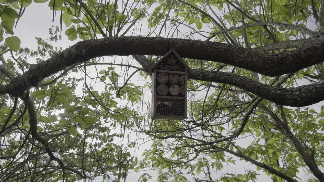 Insect Hotel Hanging from a Tree Branch