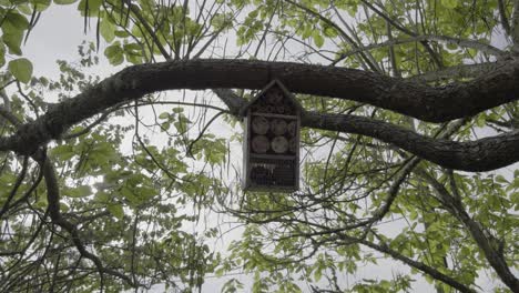 insect hotel hanging from a tree branch
