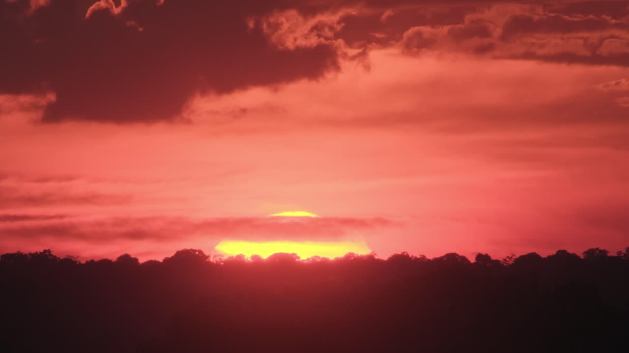 Sunset timelapse of a large yellow sun dropping below a treetop horizon with a red cloud covered sky