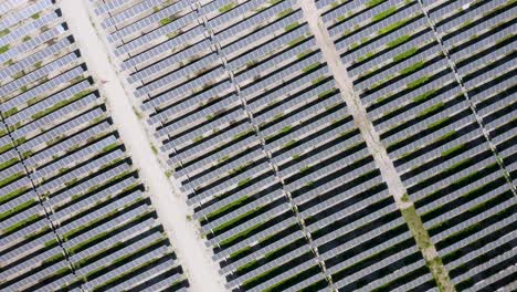 vista de arriba hacia abajo de la planta de energía solar en un campo grande