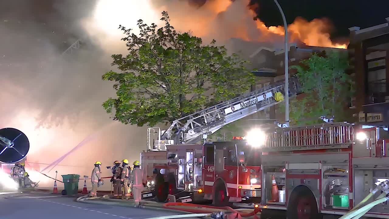 Team of firefighters in a mission to put out fire of a burning building surrounded by smoke, they work with trucks and aerial ladders.