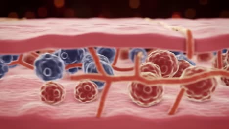 dynamic cellular interaction: a detailed visualization of the microenvironment, showcasing cellular structures and their interactions within the tissue framework