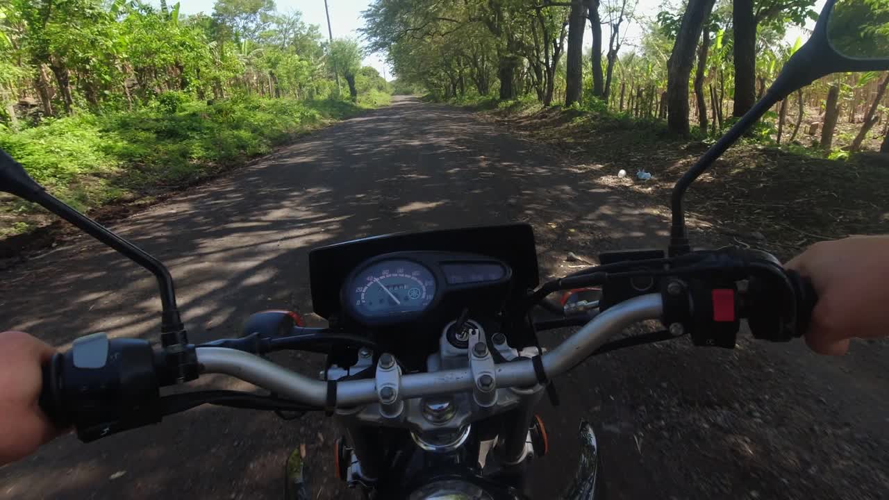 pov: paseo en motocicleta por el camino de tierra de la selva junto a una plantación de plátanos