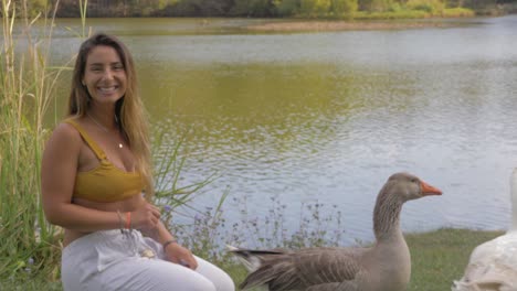 ganso tomó rápidamente el pan de la boca de una mujer - grupo de gansos vagando cerca del lago - costa dorada, qld, australia