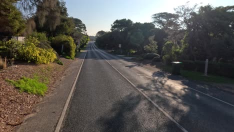 a peaceful drive along a coastal road