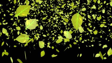 yellow leaves, autumn leaves, autumn leaves, falling particles, motion graphics