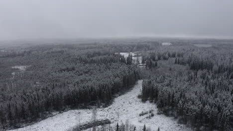 bosque cubierto de nieve en hämeenlinna, carretilla aérea hacia adelante