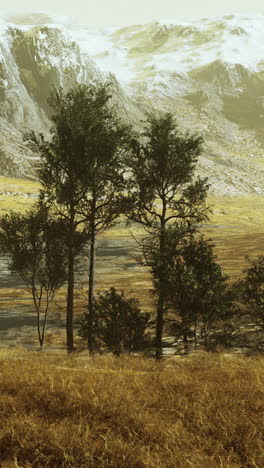 pintoresca cordillera con campos y árboles