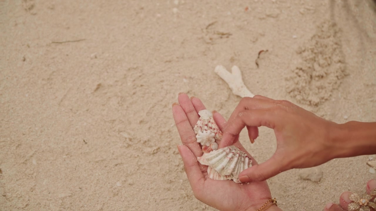 Beach closeup womans hands discovering coral and shells, fingertip selection and playful sorting across grainy sand, curious examination, sunlight highlights, casual vacation feeling, tactile treasure