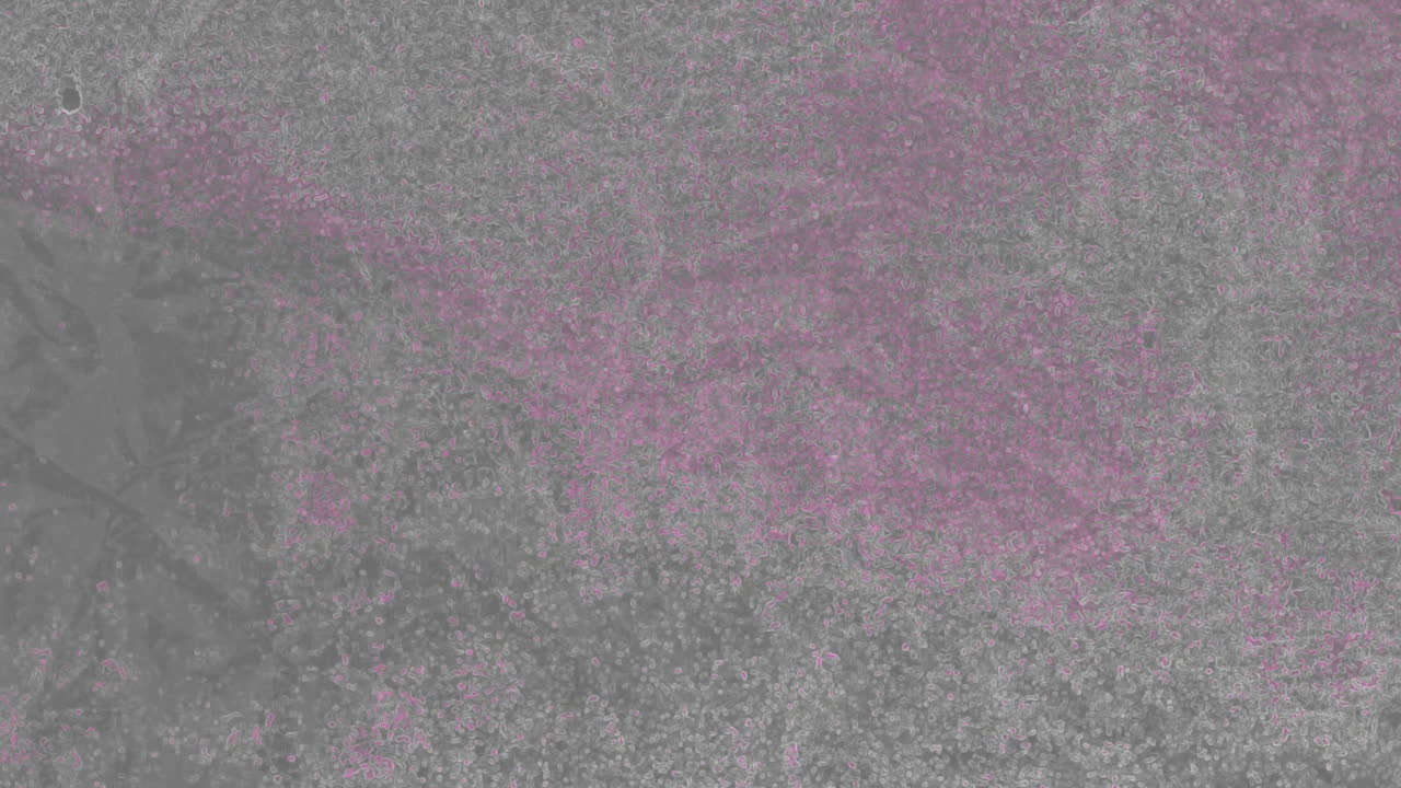 Fundo de Tela Verde para Composição Chroma Key