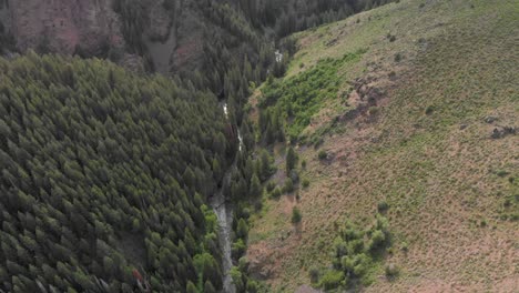 Tilt-Shift-Antenne-Von-Seichtem-Flusstal-Und-Immergrünem-Nadelwald