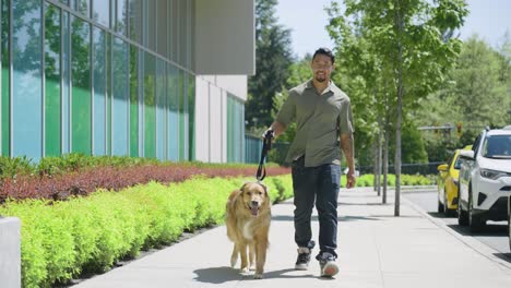 man is walking his dog around the city