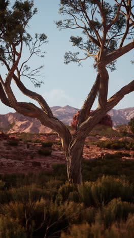 A lone tree stands tall in the desert against a backdrop of red rocks and a blue sky.