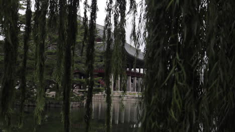 Sauce-Colgando-Frente-Al-Templo-En-El-Palacio-Gyeongbokgung-Corea-Del-Sur