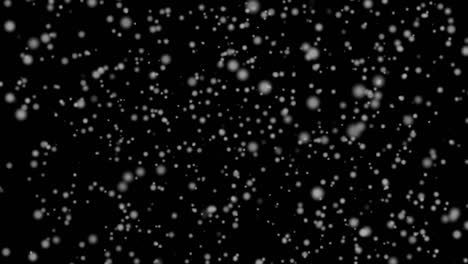 la nieve que cae.