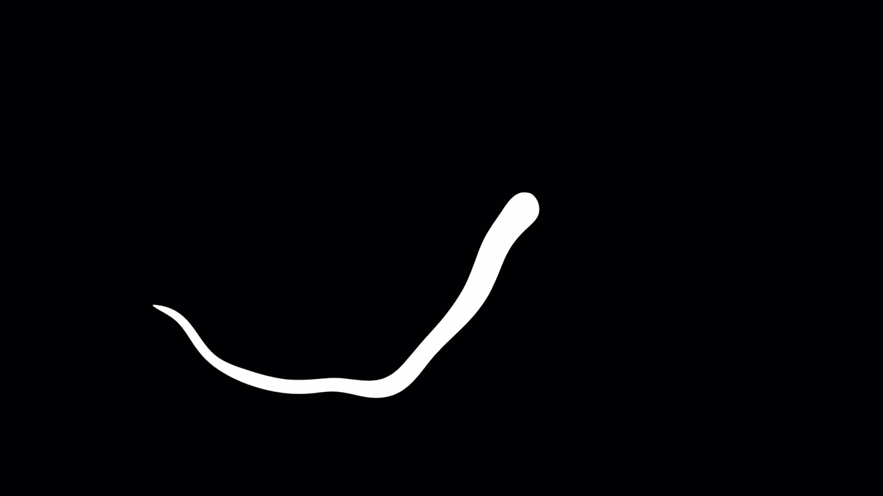 Linee 16