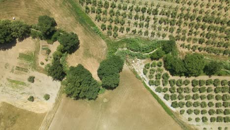 aerial images of tuscany in italy cultivated fields summer