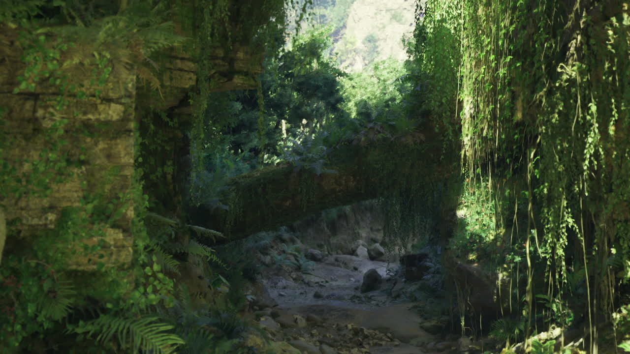 Exploration of a lush overgrown ancient pathway in a tropical jungle setting