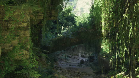 exploration of a lush overgrown ancient pathway in a tropical jungle setting