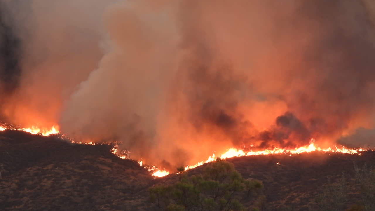 건조한 자연의 거대한 산불 파괴적인 초목
