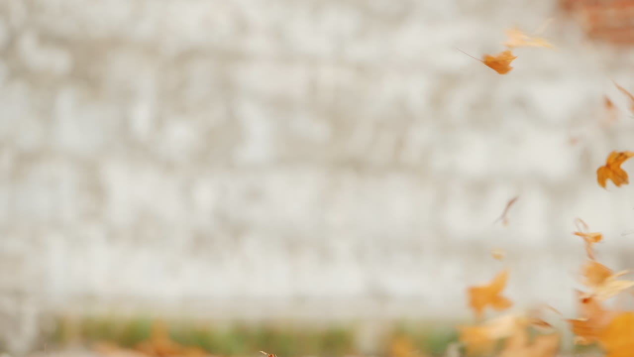 드론은 바람에 땅에서 잎을 들어 올리는 지상 위의 빠르고 낮게 날아갑니다.