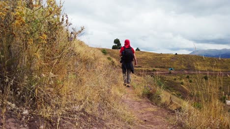 tourist walking on old inca road to huanacaure ruins, andes mountains. close up static view reveals walking man in red t-shirt with black backpack, cusco, pefru