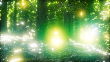 Firefly-Flying-in-the-Forest