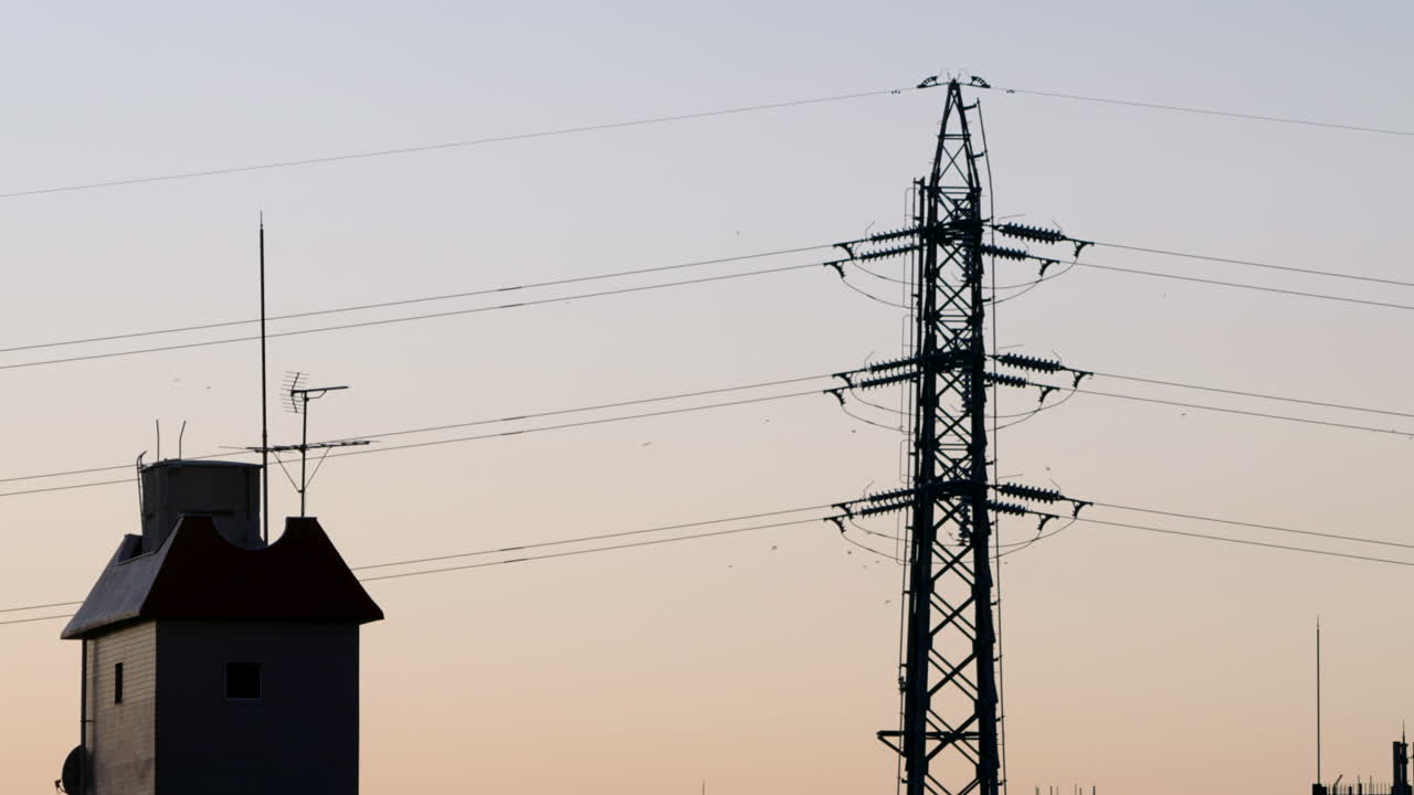 Flock Of Birds Flying Across Overhead Power Line On Transmission Tower At Sunset In Tokyo, Japan