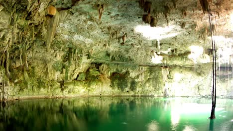 Tolle-Cenote0