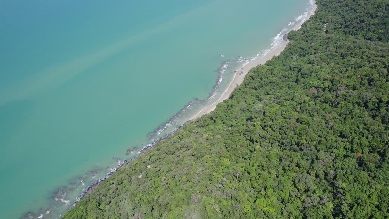 costa boscosa de la tribulación del cabo en el parque nacional de daintree, queensland, australia