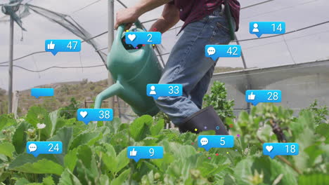 Man watering berry rows inside hoop house, showing floating social media icons for farm marketing