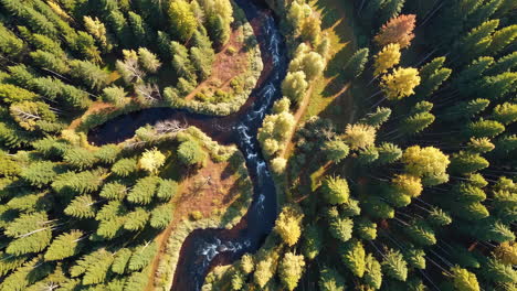 aerial view of winding river through lush autumn forest