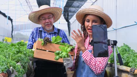 agricultor comprobando verduras orgánicas frescas en la granja inteligente hidropónica, producir cosecha de verduras agricultura con negocios, concepto de alimentos limpios y saludables.