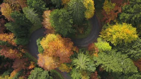 curved serpentine road in beautiful autumn forest during foliage season