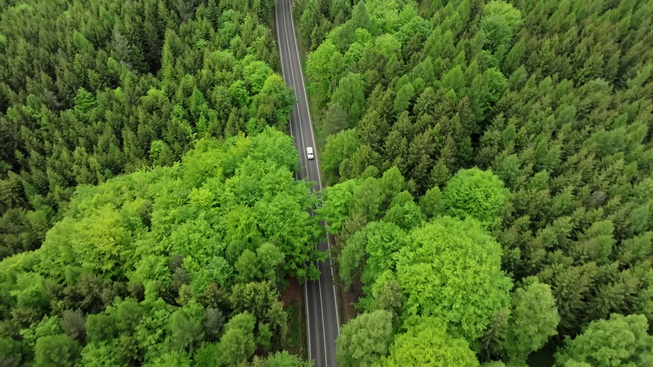 Cars driving on the road in a dense green forest. Traveling through nature from a drone perspective. Europe, Czech Republic