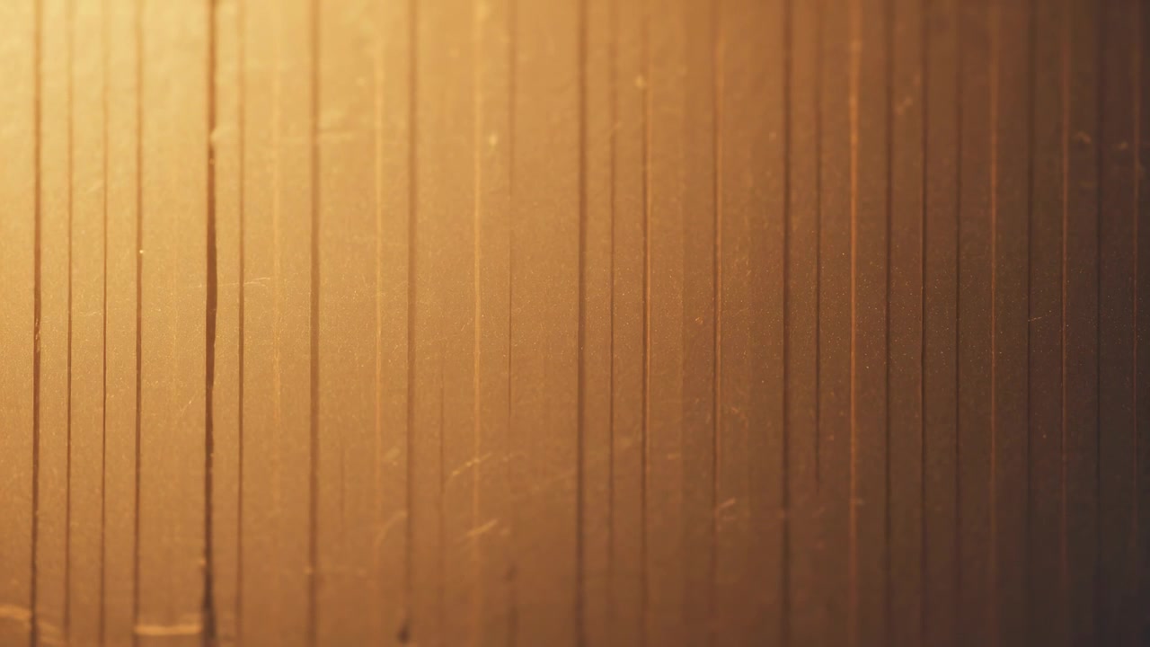 Showing paneled wall taking right-then-left flares under warm light, revealing dust and scratches