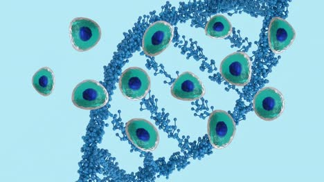 animación de células del cuerpo humano y cadena de adn sobre fondo azul