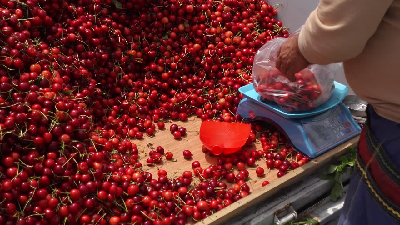 시장 에서 신선 한 체리를 판매 하는 농부