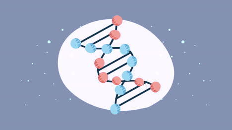 dna double helix