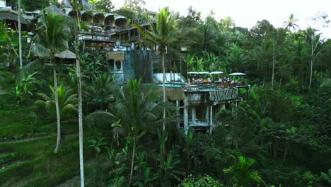 a drone view capturing a jungle-fringed bar with a stunning pool perched at its edge