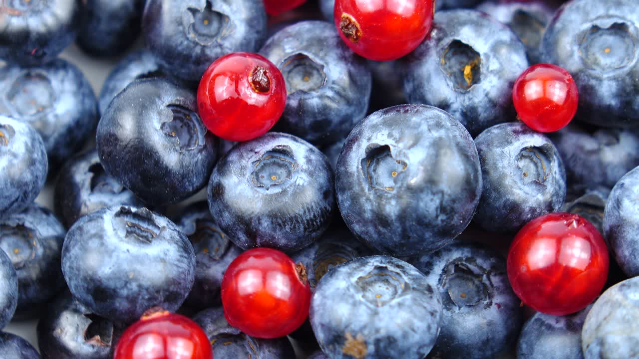 은 과 습지 의 익은 원시 열매, 배경