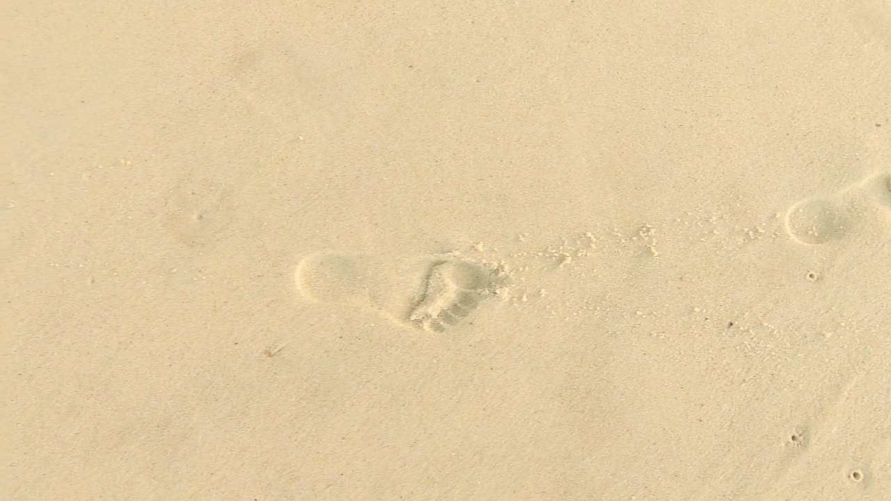 깨끗한 해변에서 각인된 맨발자국을 뒤로 추적하는 공중 슬로우 모션